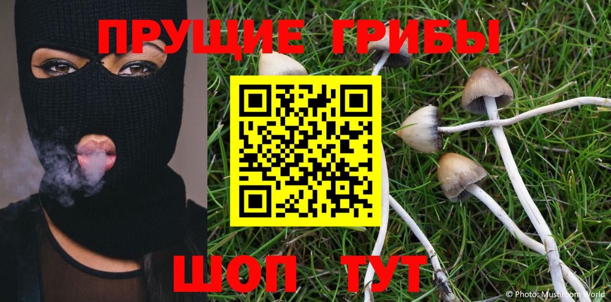 сколько стоит  Псилоцибиновые грибы Cubensis  Вход с VPN  Новокубанск  Галлюциногенные грибы Psilocybe 