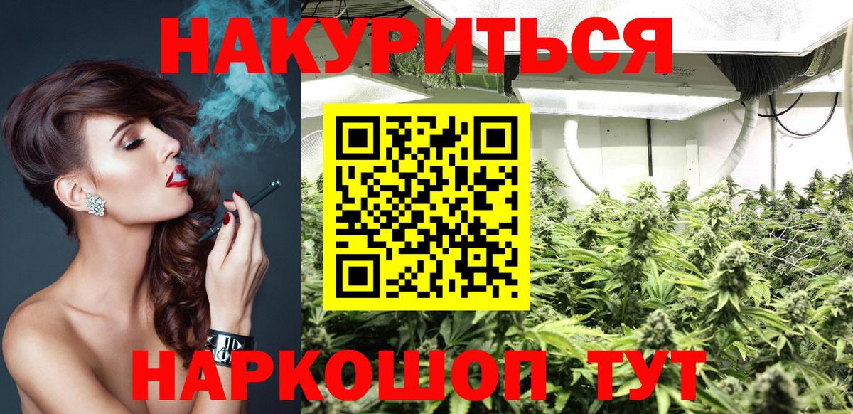 Конопля гибрид Новокубанск